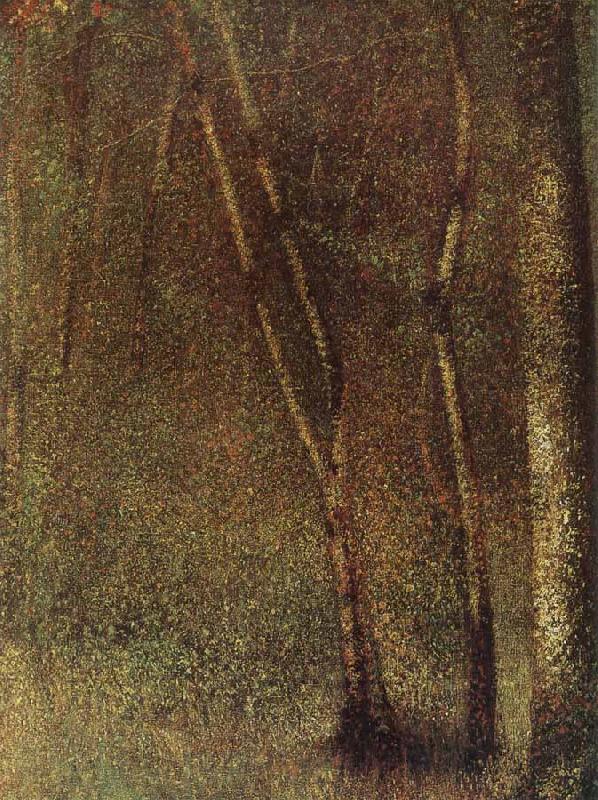 Georges Seurat Impresstion Figure Norge oil painting art